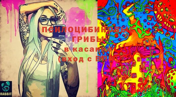 прущие грибы Майский