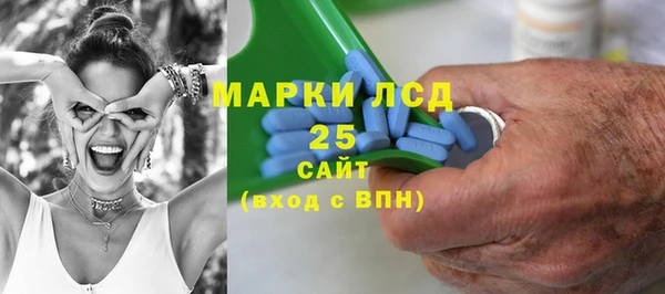 прущие грибы Майский