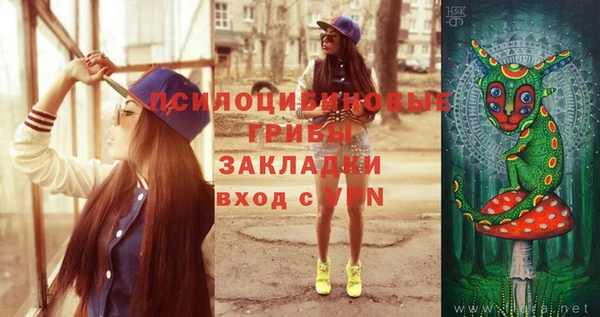 прущие грибы Майский