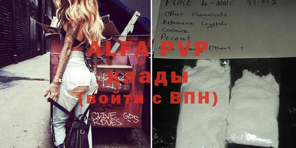 прущие грибы Майский