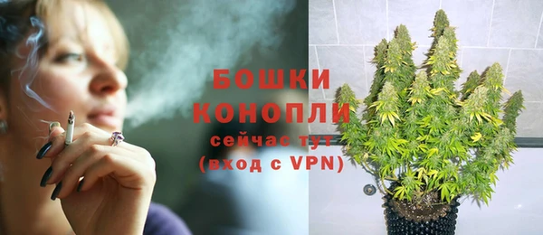 прущие грибы Майский