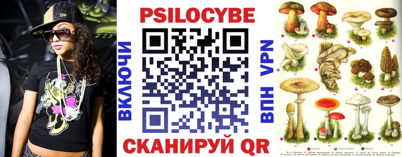 Псилоцибиновые грибы мицелий  Рубцовск 