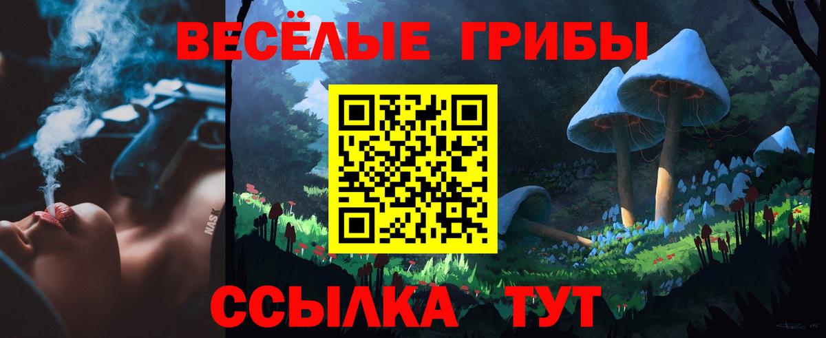 Рубцовск  Галлюциногенные грибы GOLDEN TEACHER  Галлюциногенные грибы Cubensis  Вход с VPN 